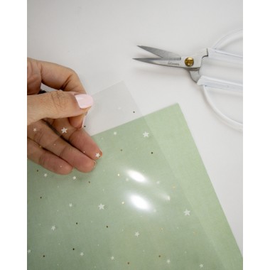 ACETATO IMPRESO EN BLANCO Y FOIL A RO RÓ ARTESANA TALLER 2